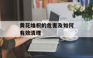 黄花堆积的危害及如何有效清理