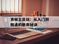 青椒土豆丝：从入门到精通的脆爽秘诀