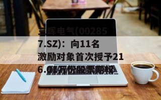 三晖电气(002857.SZ)：向11名激励对象首次授予216.01万份股票期权