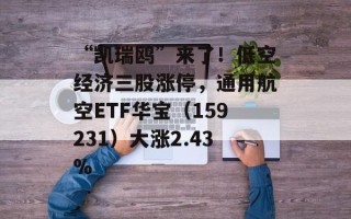 “凯瑞鸥”来了！低空经济三股涨停，通用航空ETF华宝（159231）大涨2.43%