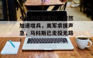 中方彻底被激怒，突然加速增兵，美军求援声急，马科斯已走投无路！