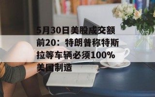 5月30日美股成交额前20：特朗普称特斯拉等车辆必须100%美国制造
