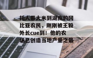 托人带大米到湖南的冈比亚农民，刚刚被王毅外长cue到！他的农场已创造当地产量之最