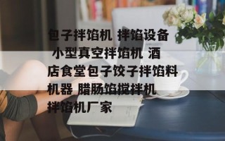 包子拌馅机 拌馅设备 小型真空拌馅机 酒店食堂包子饺子拌馅料机器 腊肠馅搅拌机 拌馅机厂家