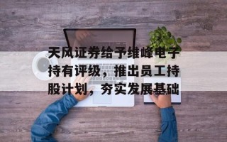 天风证券给予维峰电子持有评级，推出员工持股计划，夯实发展基础