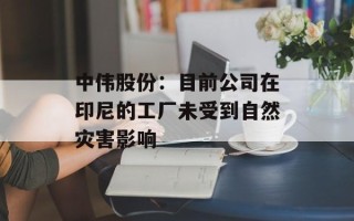 中伟股份：目前公司在印尼的工厂未受到自然灾害影响