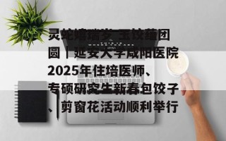 灵蛇嬉瑞岁 玉饺蕴团圆｜延安大学咸阳医院2025年住培医师、专硕研究生新春包饺子、剪窗花活动顺利举行