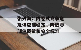 张兴海：内卷式竞争危及供应链稳定，降低零部件质量和安全标准