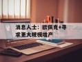 消息人士：欧佩克+寻求更大规模增产