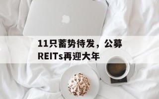 11只蓄势待发，公募REITs再迎大年