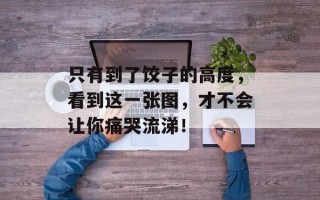 只有到了饺子的高度，看到这一张图，才不会让你痛哭流涕！