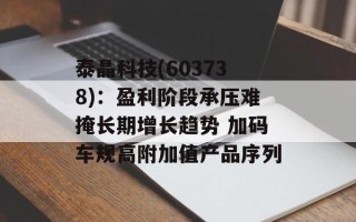 泰晶科技(603738)：盈利阶段承压难掩长期增长趋势 加码车规高附加值产品序列