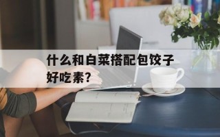 什么和白菜搭配包饺子好吃素？