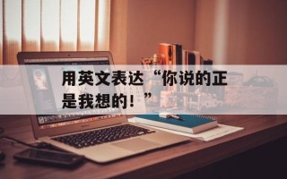 用英文表达“你说的正是我想的！”