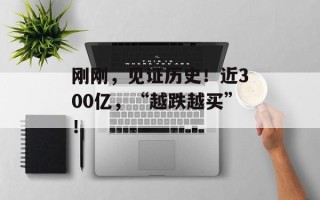 刚刚，见证历史！近300亿，“越跌越买”！