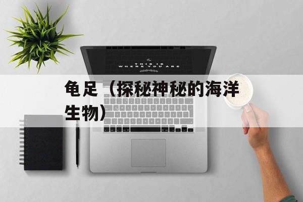 龟足（探秘神秘的海洋生物）-第1张图片-