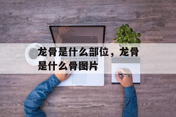 龙骨是什么部位，龙骨是什么骨图片-第1张图片-