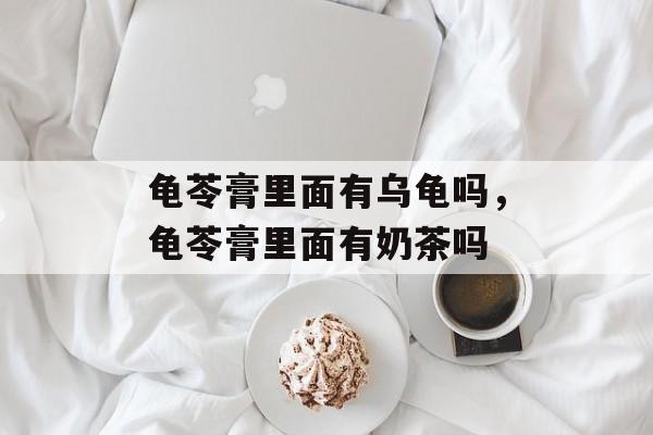 龟苓膏里面有乌龟吗，龟苓膏里面有奶茶吗-第1张图片-