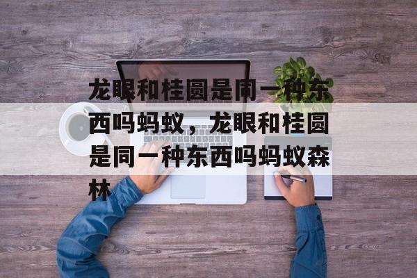 龙眼和桂圆是同一种东西吗蚂蚁，龙眼和桂圆是同一种东西吗蚂蚁森林-第1张图片-