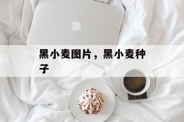 黑小麦图片，黑小麦种子-第1张图片-