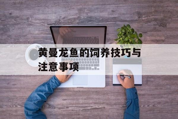 黄曼龙鱼的饲养技巧与注意事项-第1张图片-