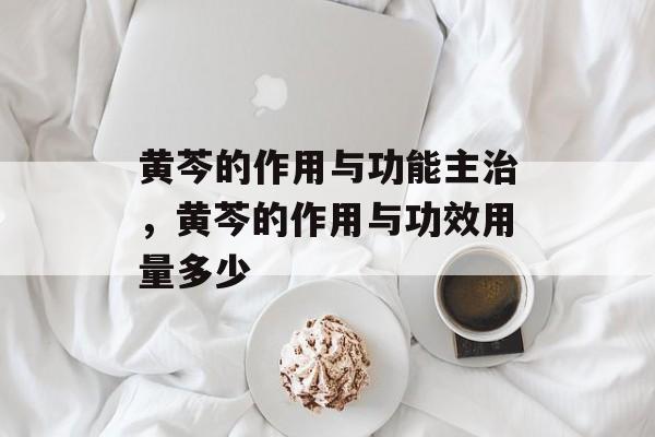 黄芩的作用与功能主治，黄芩的作用与功效用量多少-第1张图片-