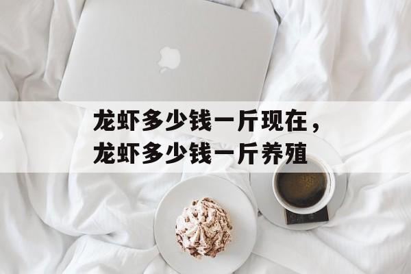 龙虾多少钱一斤现在，龙虾多少钱一斤养殖-第1张图片-