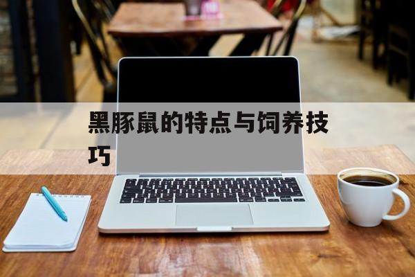黑豚鼠的特点与饲养技巧-第1张图片-