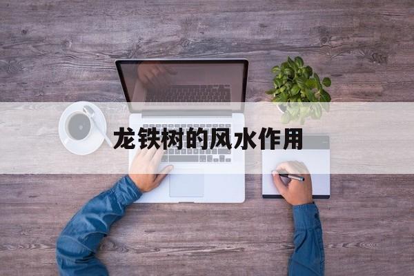 龙铁树的风水作用-第1张图片-