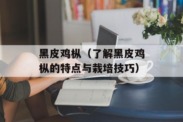 黑皮鸡枞（了解黑皮鸡枞的特点与栽培技巧）-第1张图片-