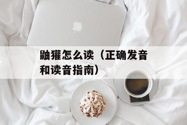 鼬獾怎么读（正确发音和读音指南）-第1张图片-