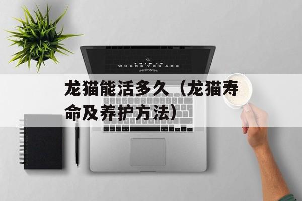 龙猫能活多久（龙猫寿命及养护方法）-第1张图片-