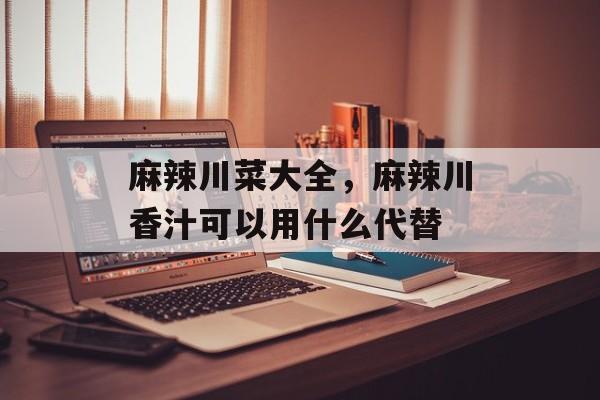 麻辣川菜大全，麻辣川香汁可以用什么代替-第1张图片-
