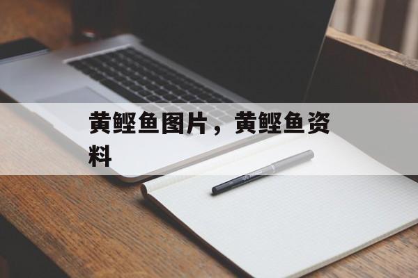 黄鲣鱼图片，黄鲣鱼资料-第1张图片-