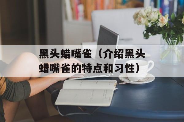 黑头蜡嘴雀（介绍黑头蜡嘴雀的特点和习性）-第1张图片-