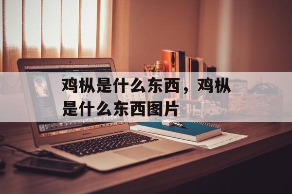 鸡枞是什么东西，鸡枞是什么东西图片-第1张图片-
