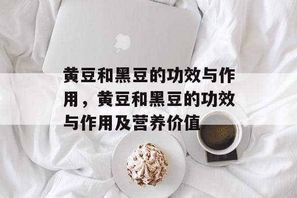 黄豆和黑豆的功效与作用，黄豆和黑豆的功效与作用及营养价值-第1张图片-