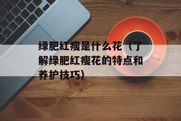 绿肥红瘦是什么花（了解绿肥红瘦花的特点和养护技巧）-第1张图片-