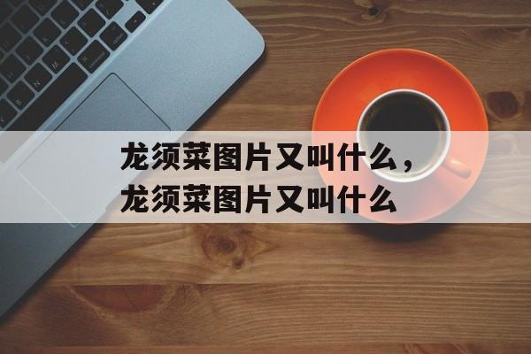 龙须菜图片又叫什么，龙须菜图片又叫什么-第1张图片-