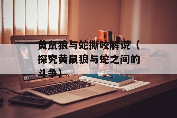 黄鼠狼与蛇撕咬解说（探究黄鼠狼与蛇之间的斗争）-第1张图片-