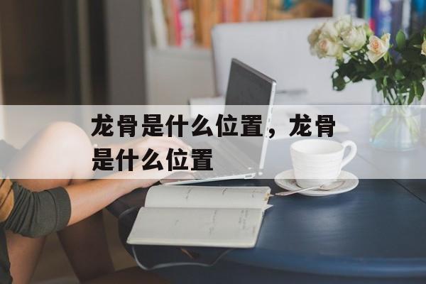 龙骨是什么位置，龙骨是什么位置-第1张图片-