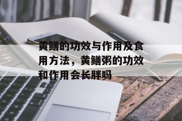 黄鳝的功效与作用及食用方法，黄鳝粥的功效和作用会长胖吗-第1张图片-