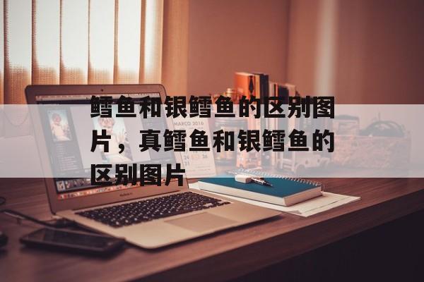 鳕鱼和银鳕鱼的区别图片，真鳕鱼和银鳕鱼的区别图片-第1张图片-