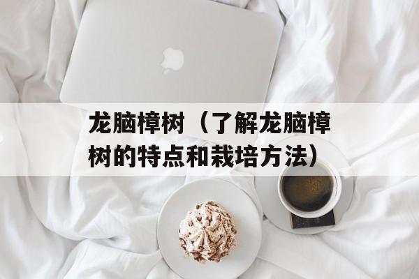 龙脑樟树（了解龙脑樟树的特点和栽培方法）-第1张图片-