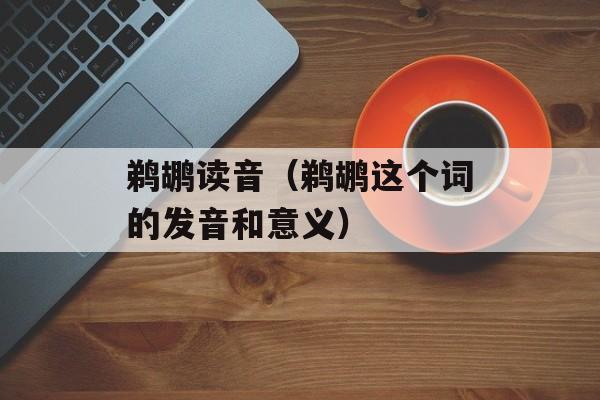 鹈鹕读音（鹈鹕这个词的发音和意义）-第1张图片-
