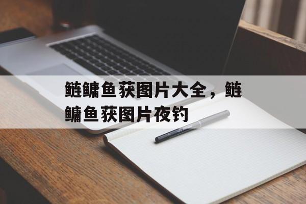鲢鳙鱼获图片大全，鲢鳙鱼获图片夜钓-第1张图片-