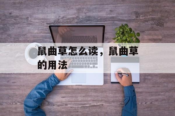 鼠曲草怎么读，鼠曲草的用法-第1张图片-