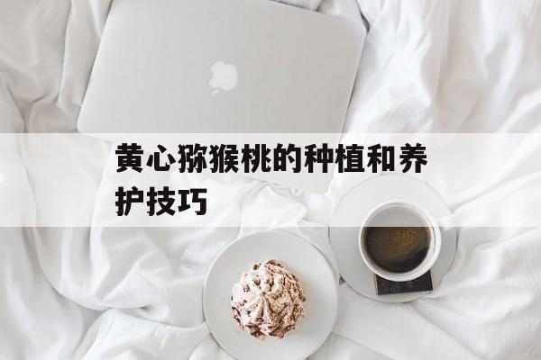 黄心猕猴桃的种植和养护技巧-第1张图片-