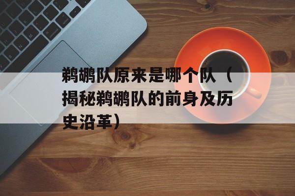 鹈鹕队原来是哪个队（揭秘鹈鹕队的前身及历史沿革）-第1张图片-