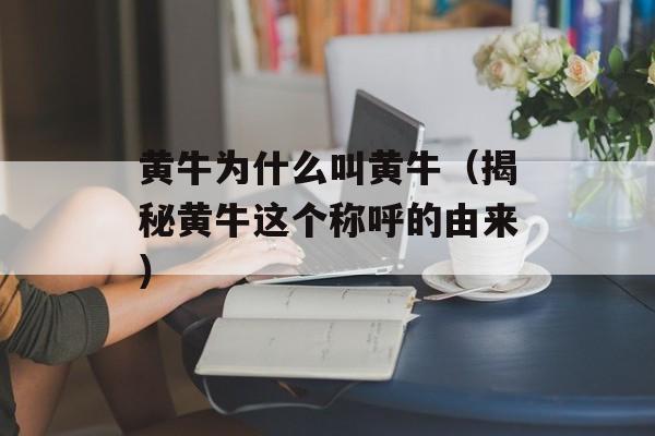 黄牛为什么叫黄牛（揭秘黄牛这个称呼的由来）-第1张图片-